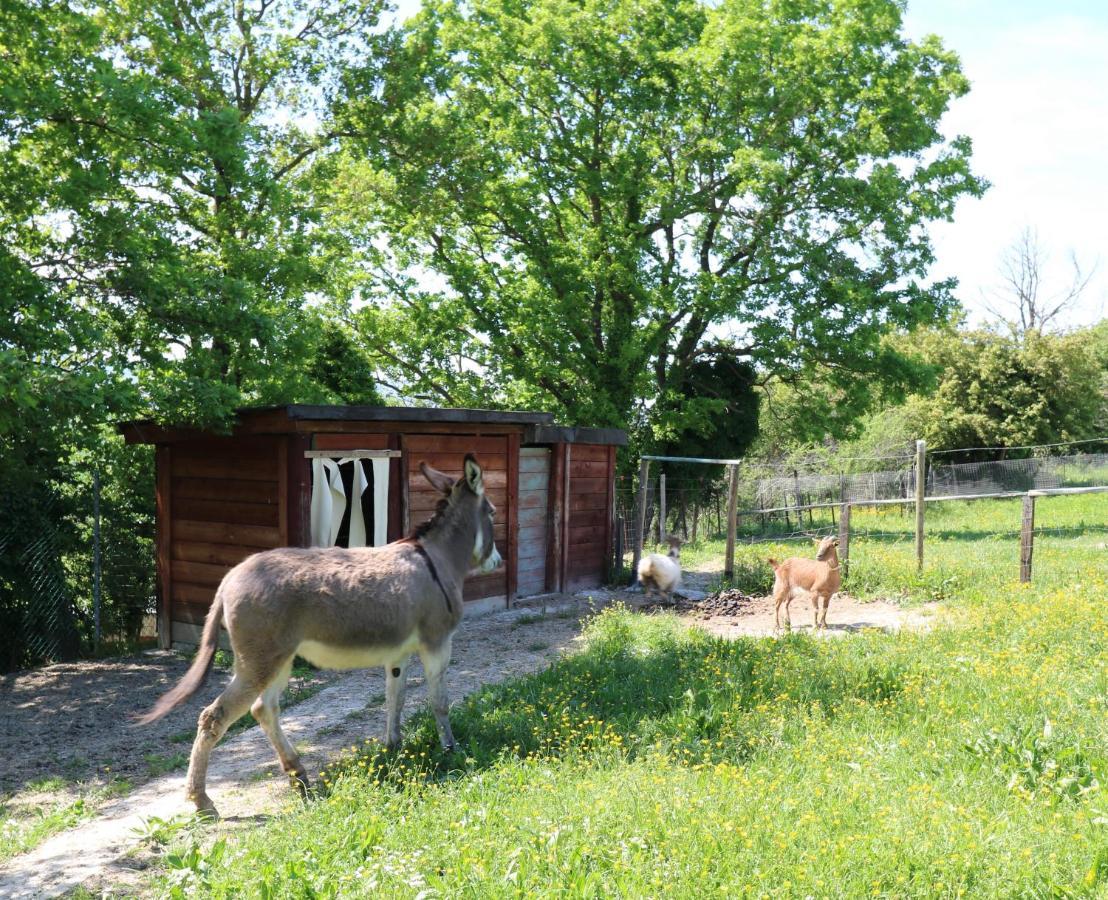 Apartamento La Collina Dei Ciliegi Cagli Exterior foto